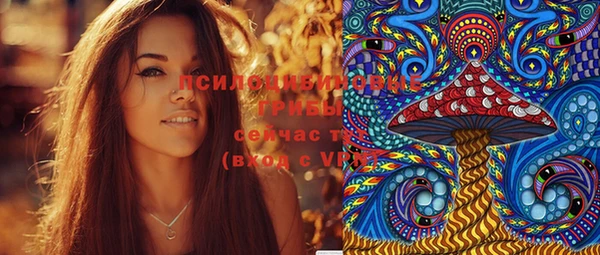 экстази Каменка