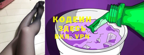 молекула духа Майский