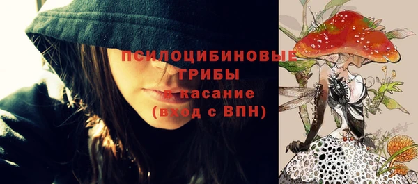 молекула духа Майский