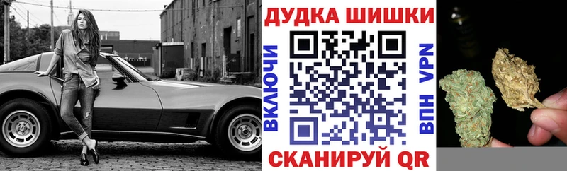 Бошки Шишки планчик  Шиханы 